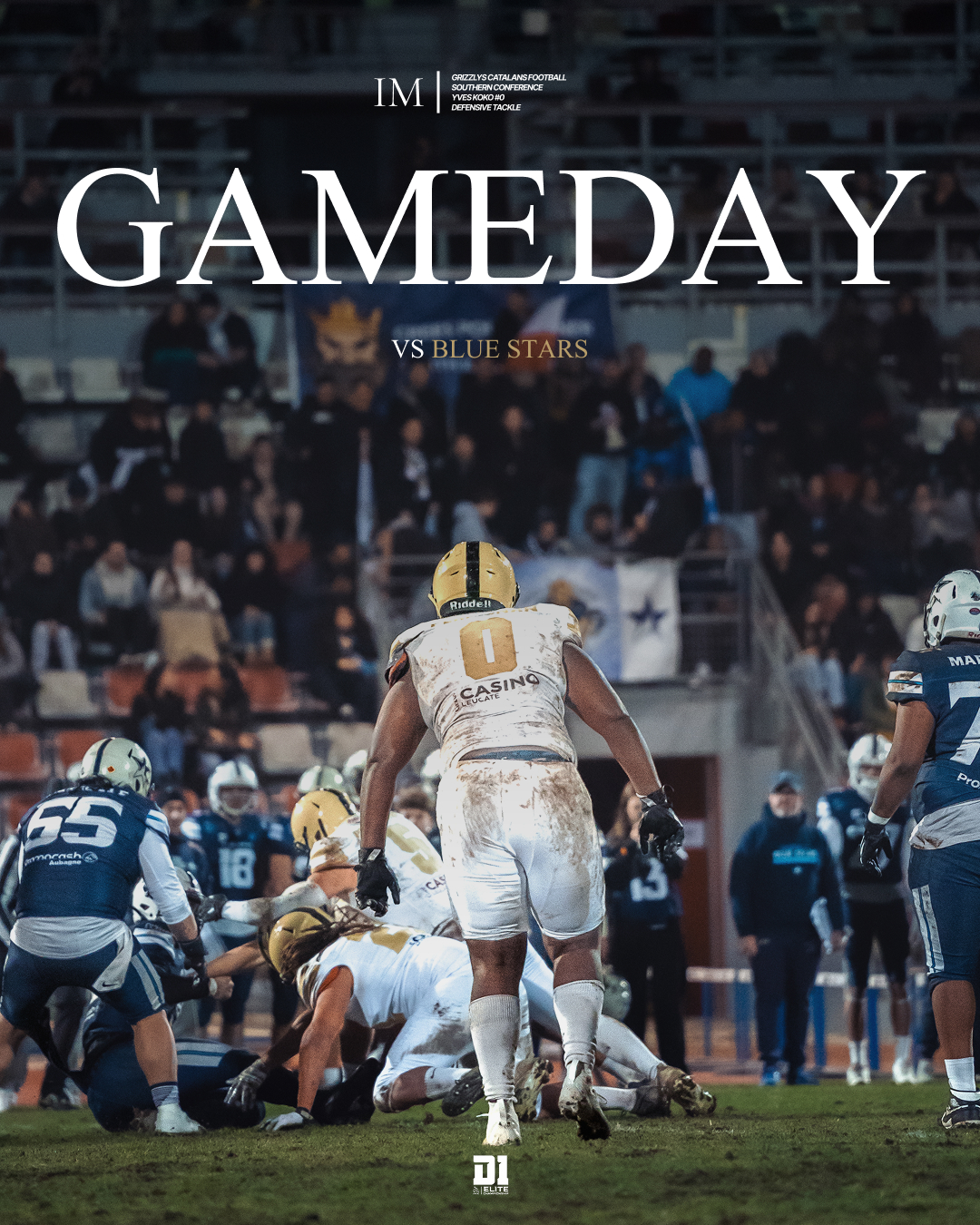 Grizzlys — Phase 3, système consolidé